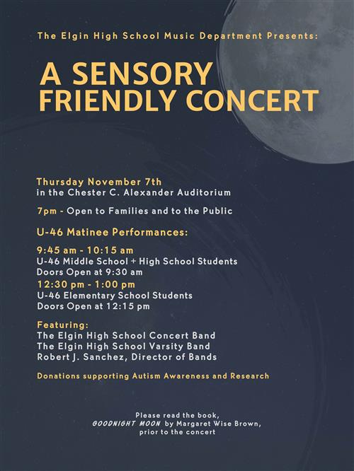 sensory concert flyer 